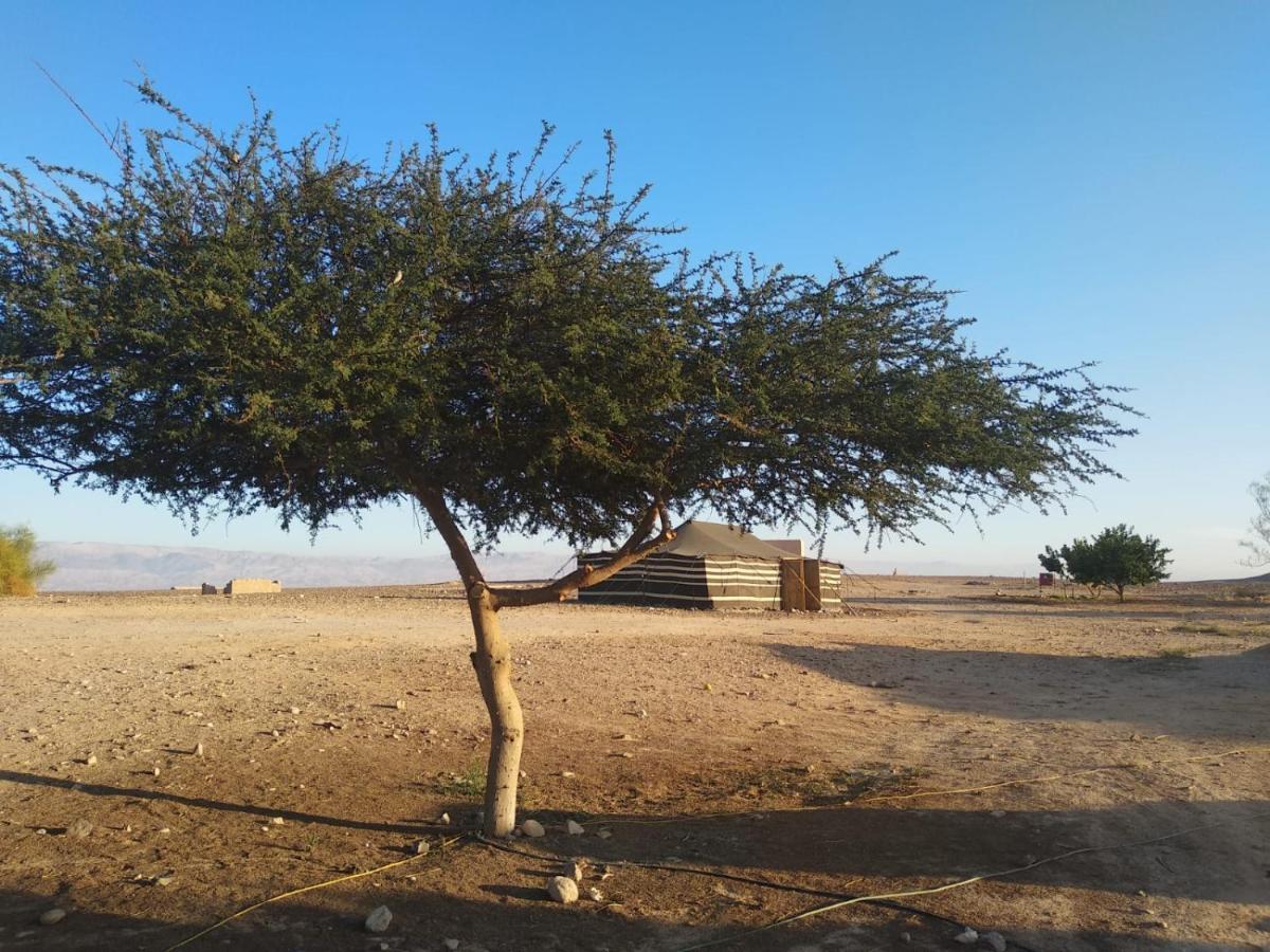 Desert Days Mud Cabin'S Resort Tzukim 外观 照片