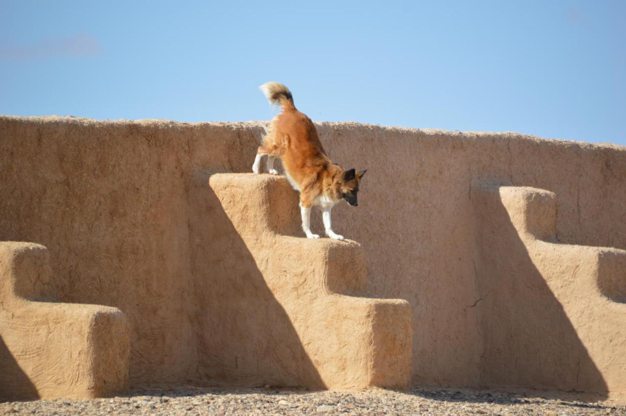 Desert Days Mud Cabin'S Resort Tzukim 外观 照片
